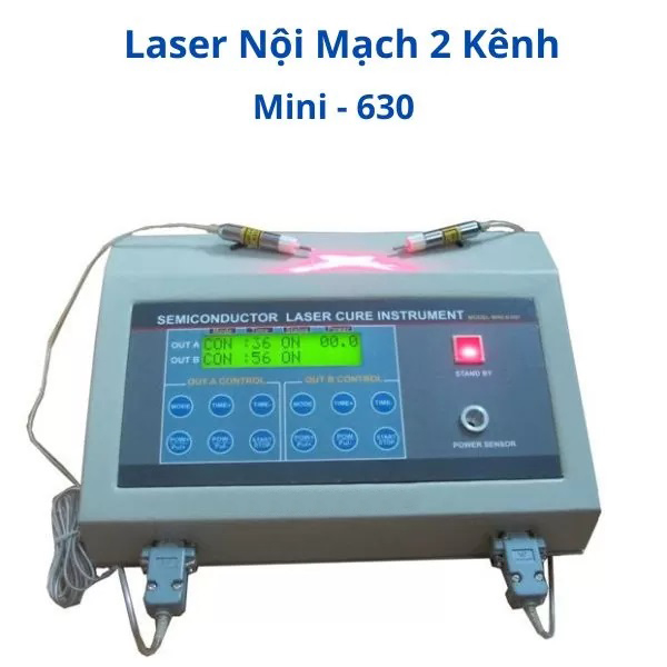 Máy Laser Nội Mạch Mini 630 Hai Kênh Điều Trị