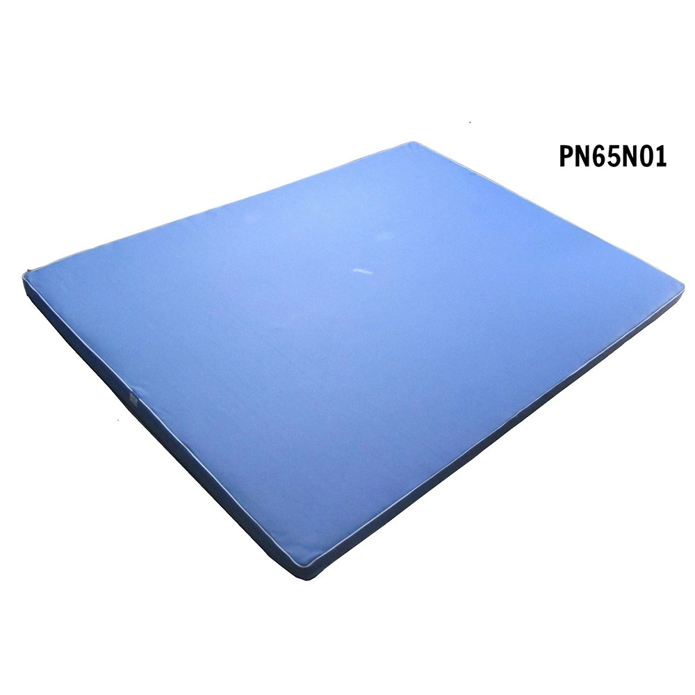 Nệm tập vật lý trị liệu PN65N01 Nệm tập vật lý trị liệu PN65N01